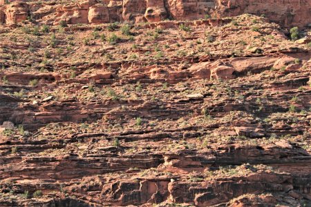 Geology Utah resized.jpg